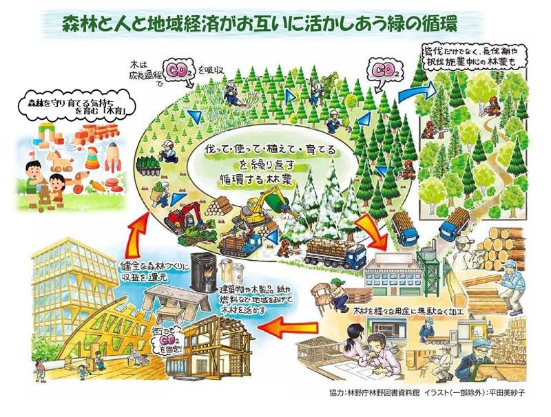森林と人の緑の循環のイラスト
