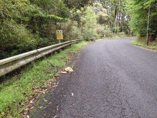 道路上のごみ