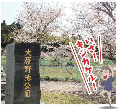 いざキジカケル