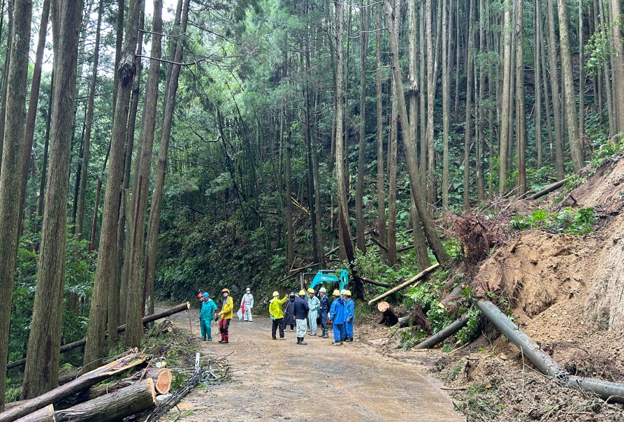 倒木除去後の道路の様子