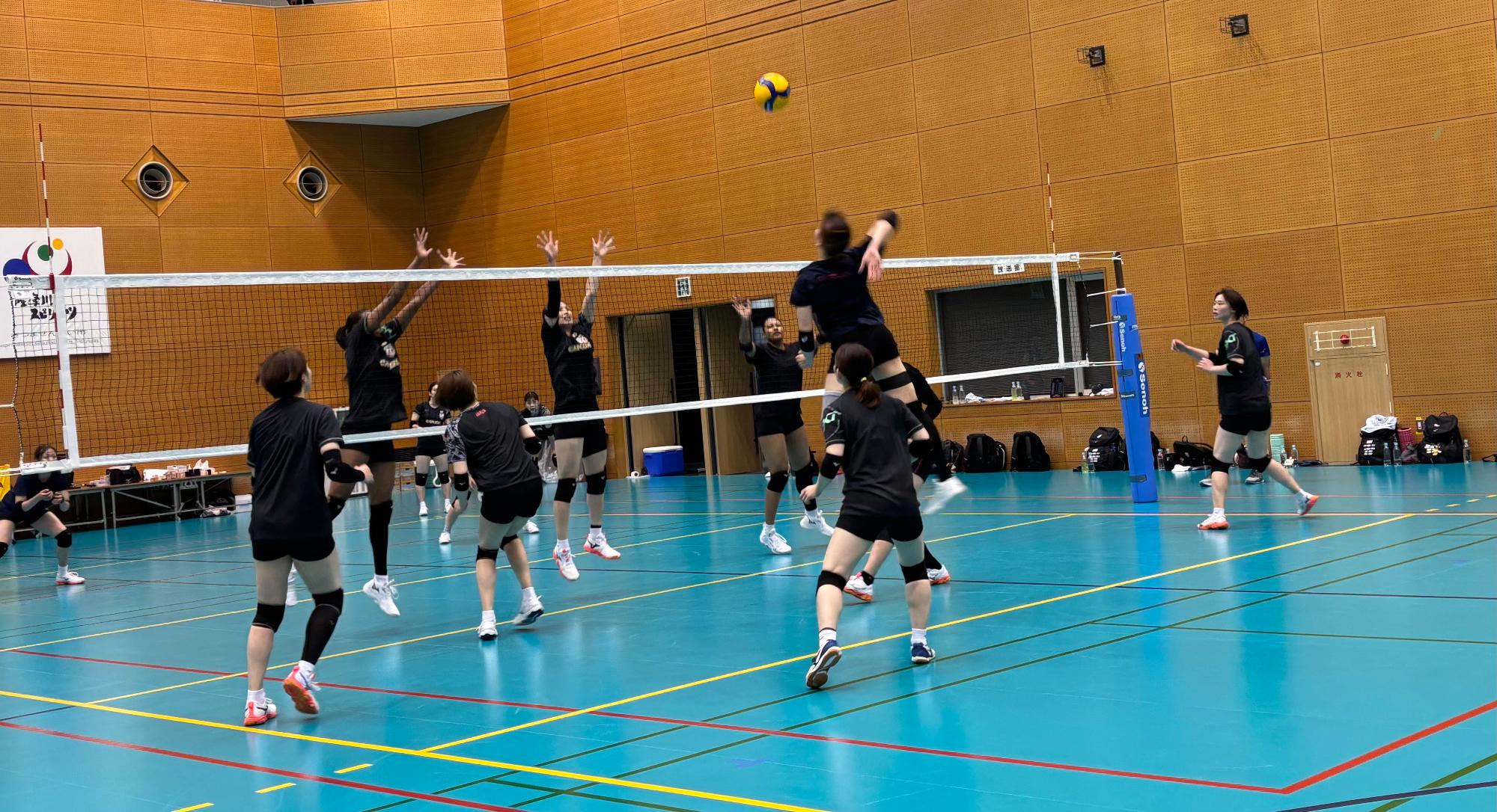 バレーボール女子日本代表チーム