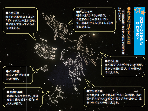 冬の星座