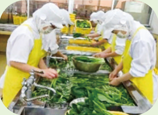 野菜を洗浄している様子