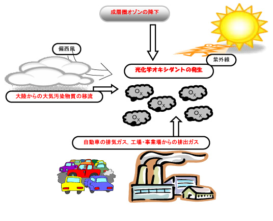 光化学オキシダント濃度上昇の仕組みについての解説図