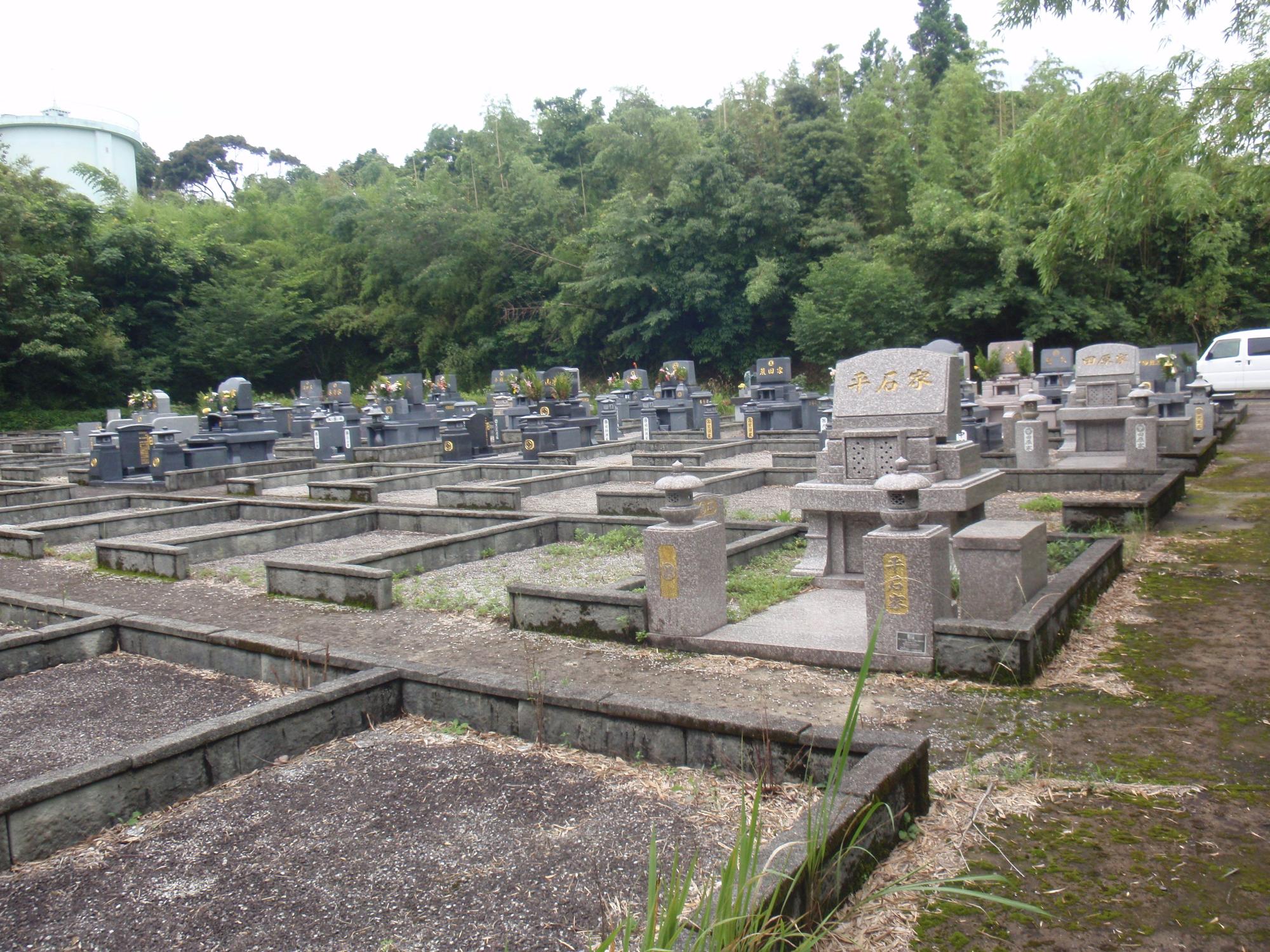 生い茂る草木を背景にした墓地に数基のお墓が建ち、四角く区切られたお墓がない空き区画が点在している様子の写真