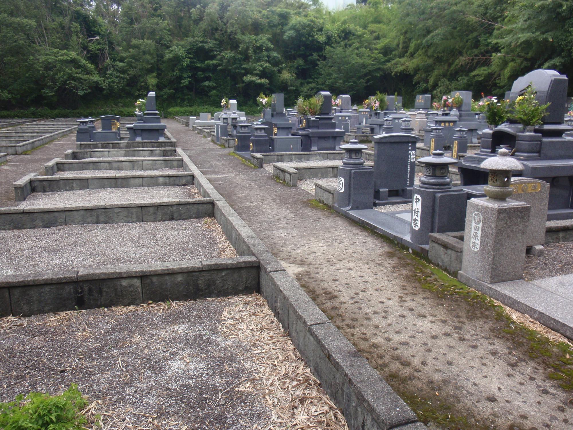 お花をお供えされた数基の左向きに建つお墓と、墓石がない空き区画が並び、奥に草木が生い茂っている写真