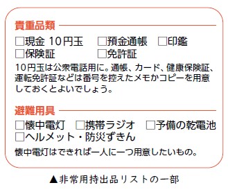 非常用持出品リストの一部