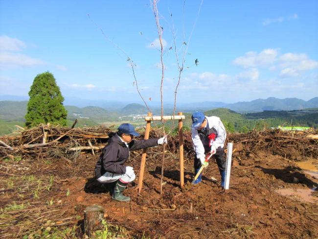 植樹を行う田中市長