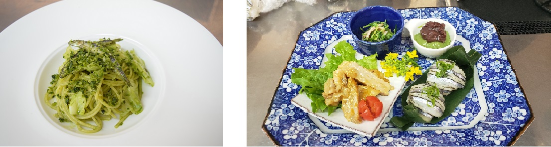 キビナゴとキャベツ、桑茶のスパゲティの盛り付け写真と、きびなごの手まり寿司や豚肉の塩麹焼きなどが大皿の上に盛り付けられた写真の、2枚組の画像