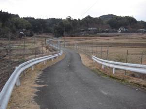 道路の両脇に侵入防止のためのワイヤーメッシュ柵が張り巡らされている写真