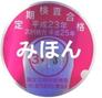 定期検査合格証の見本イメージ