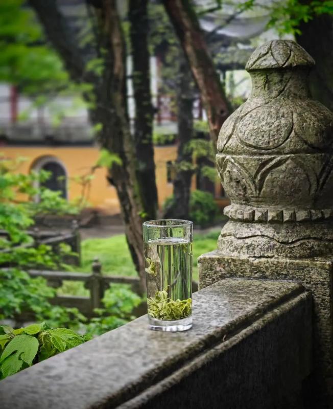 茶5-2