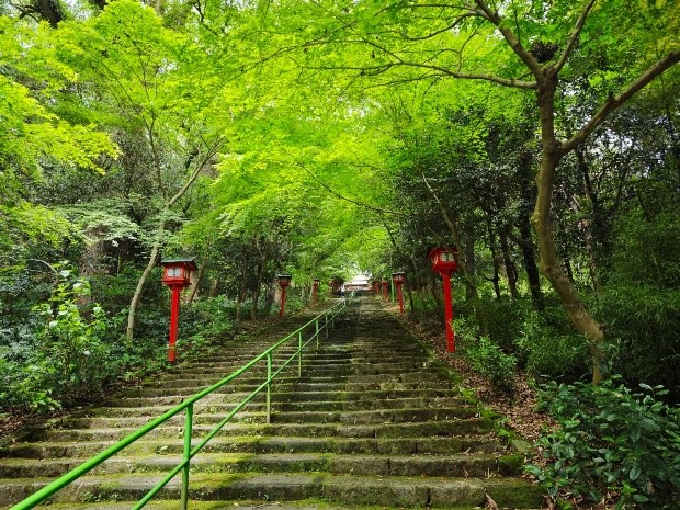 参道