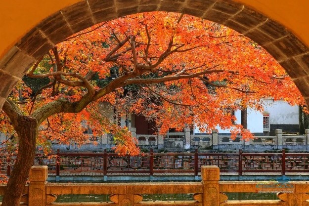 興福寺