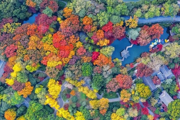 虞山公園