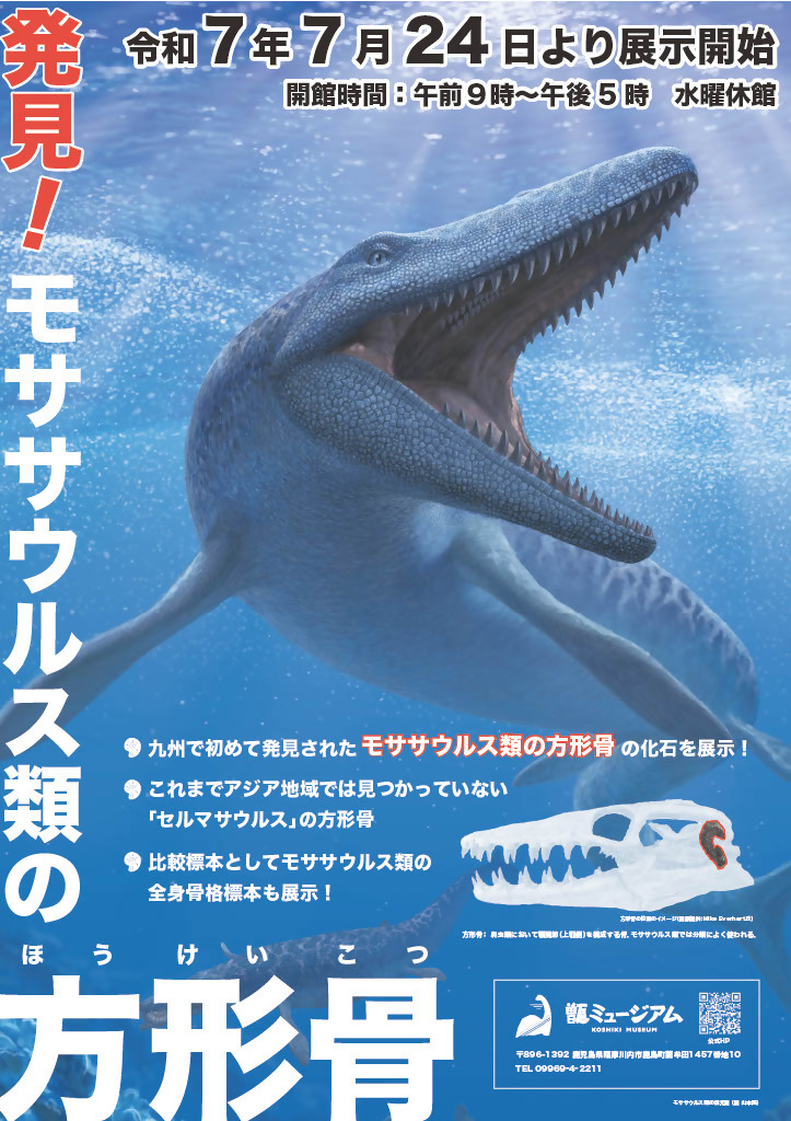 モササウルス特設展示チラシ