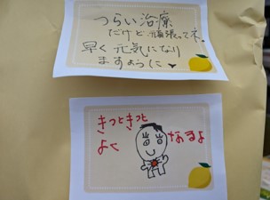 取組