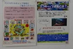 掲示物