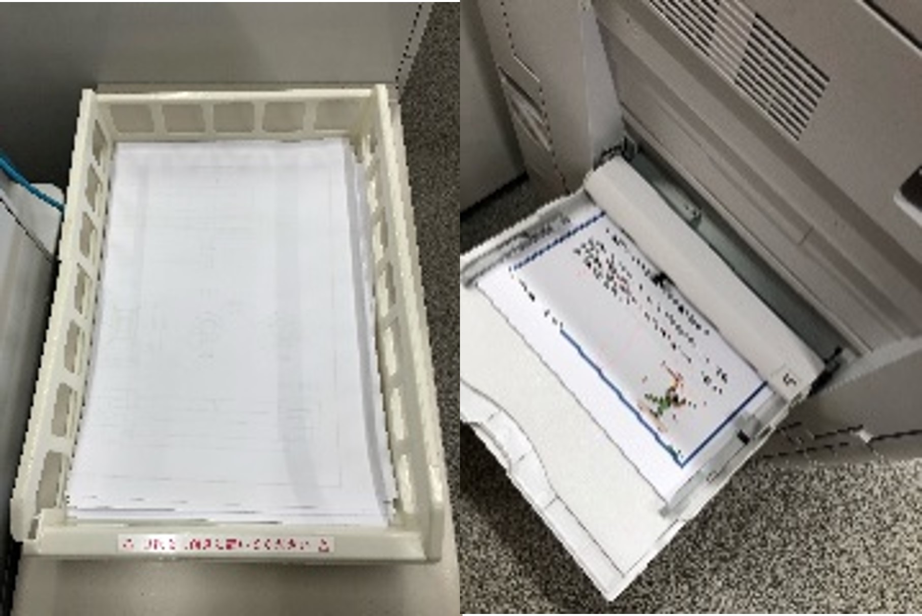 有馬電設エコ活動の様子