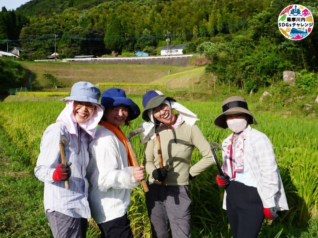 樋脇町藤本の棚田