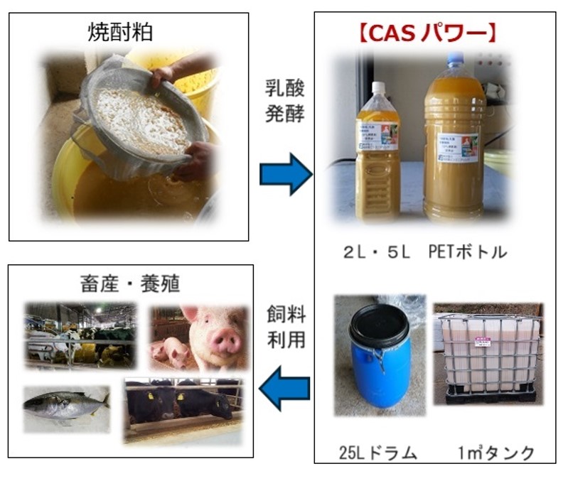 栄電社焼酎粕有効利用法の開発