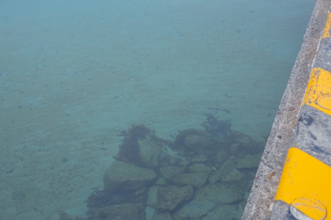綺麗な海
