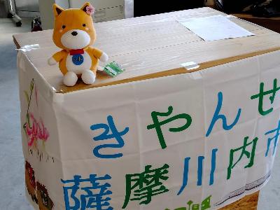 きやんせ幕