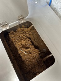 せんだい幼稚園ごみの排出削減取組の様子