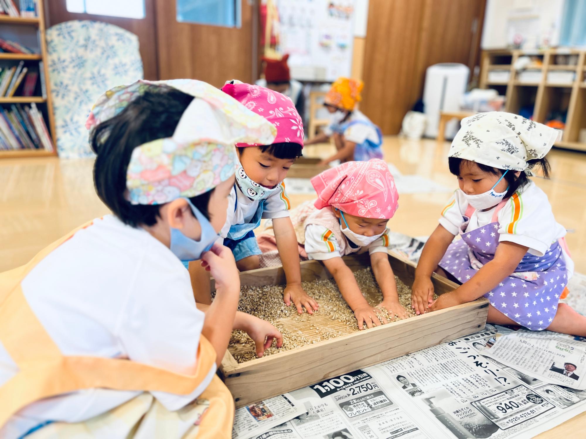 麹の準備をする園児