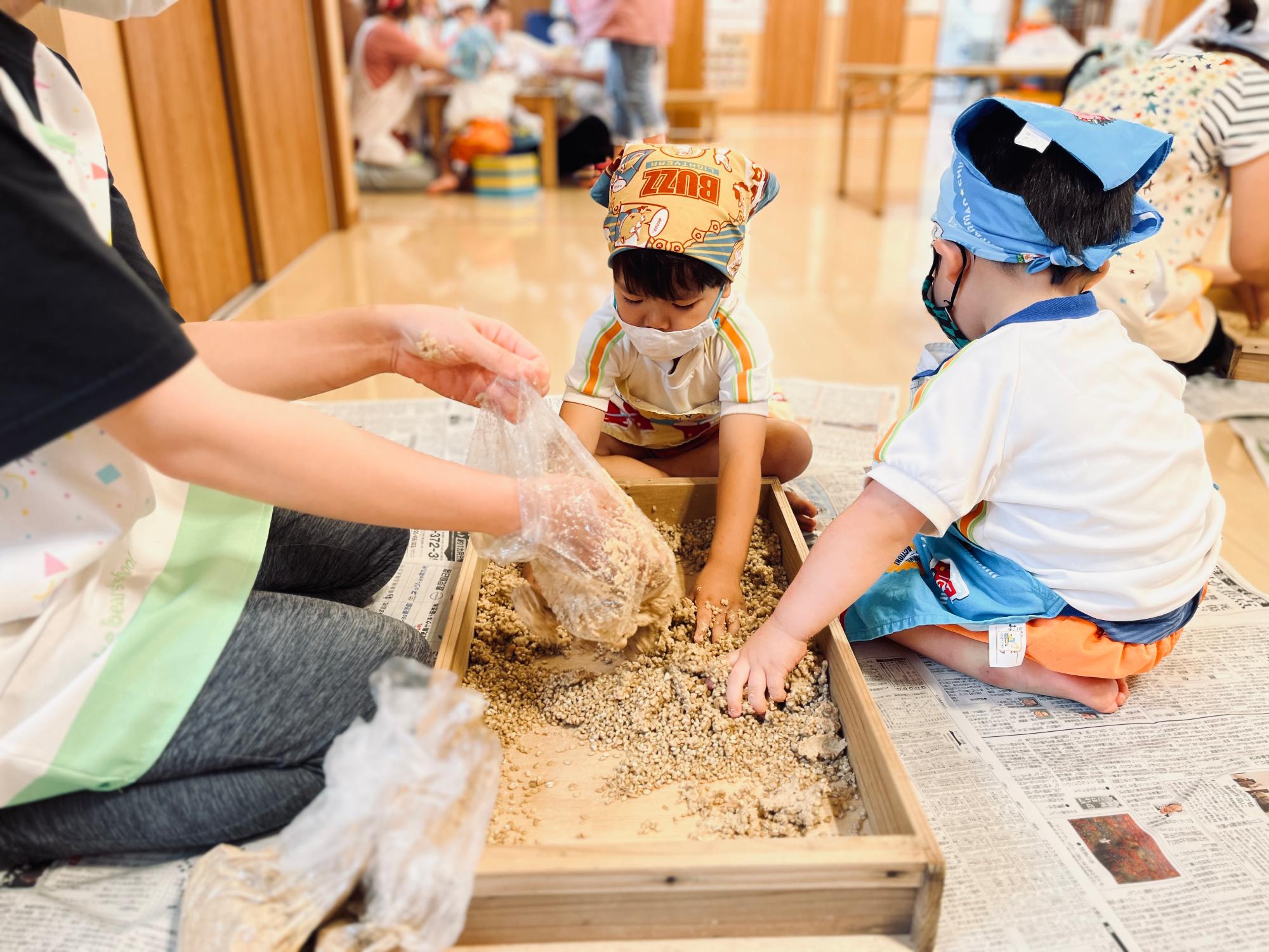 大豆を混ぜる園児