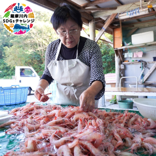 鷹丸工房の下野睦子さん