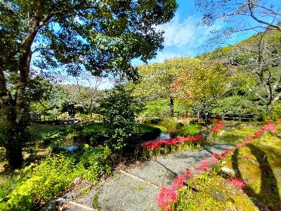 矢立農村公園と彼岸花