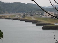 水辺に陸地が何本も飛び出しているような堤防の写真