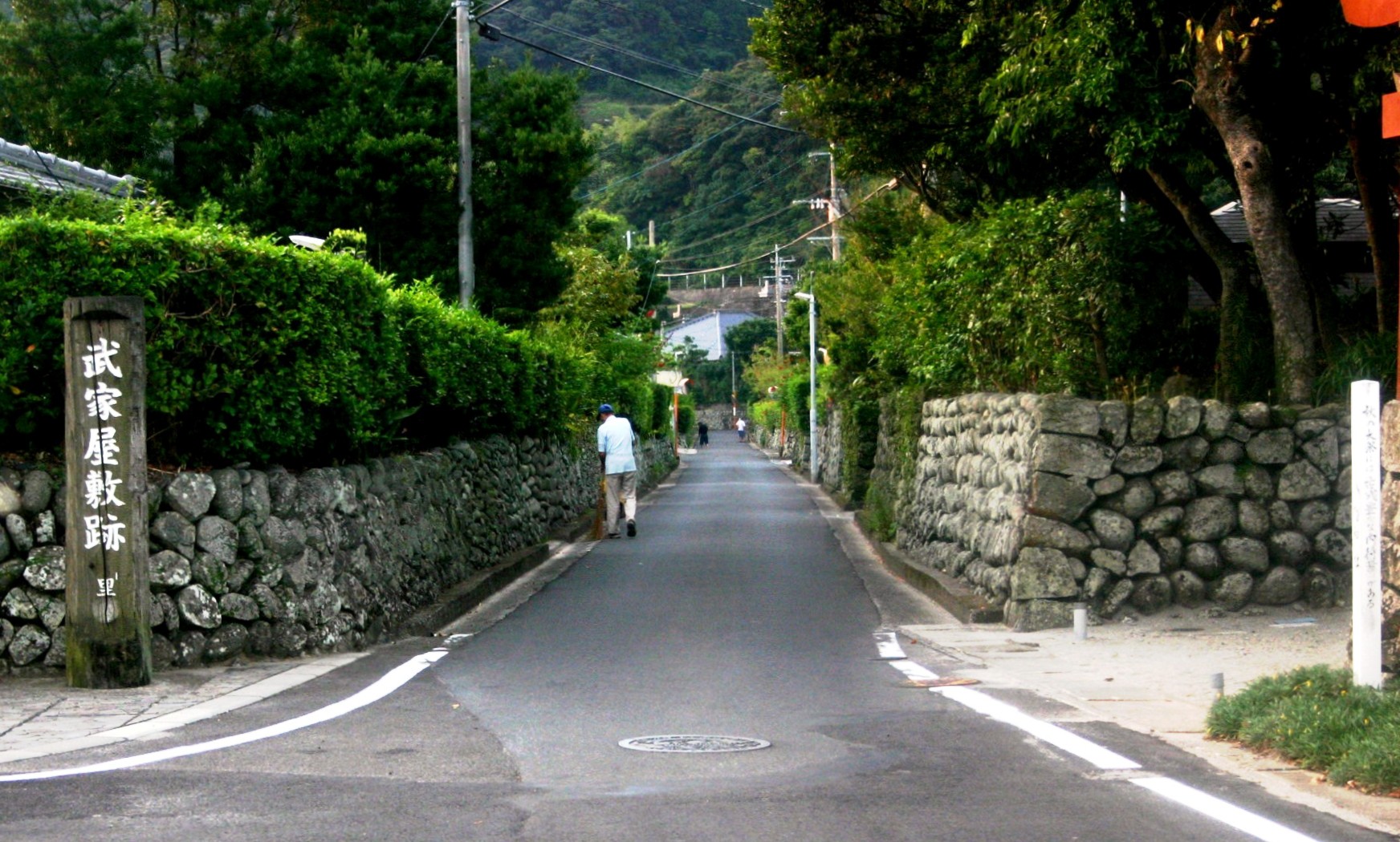 植木が乗った石の塀に囲まれた細い道路の写真