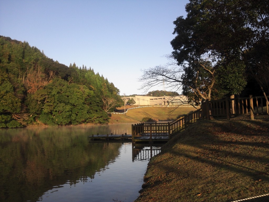 夕日が差し掛かっている池と芝生と小さな桟橋の写真