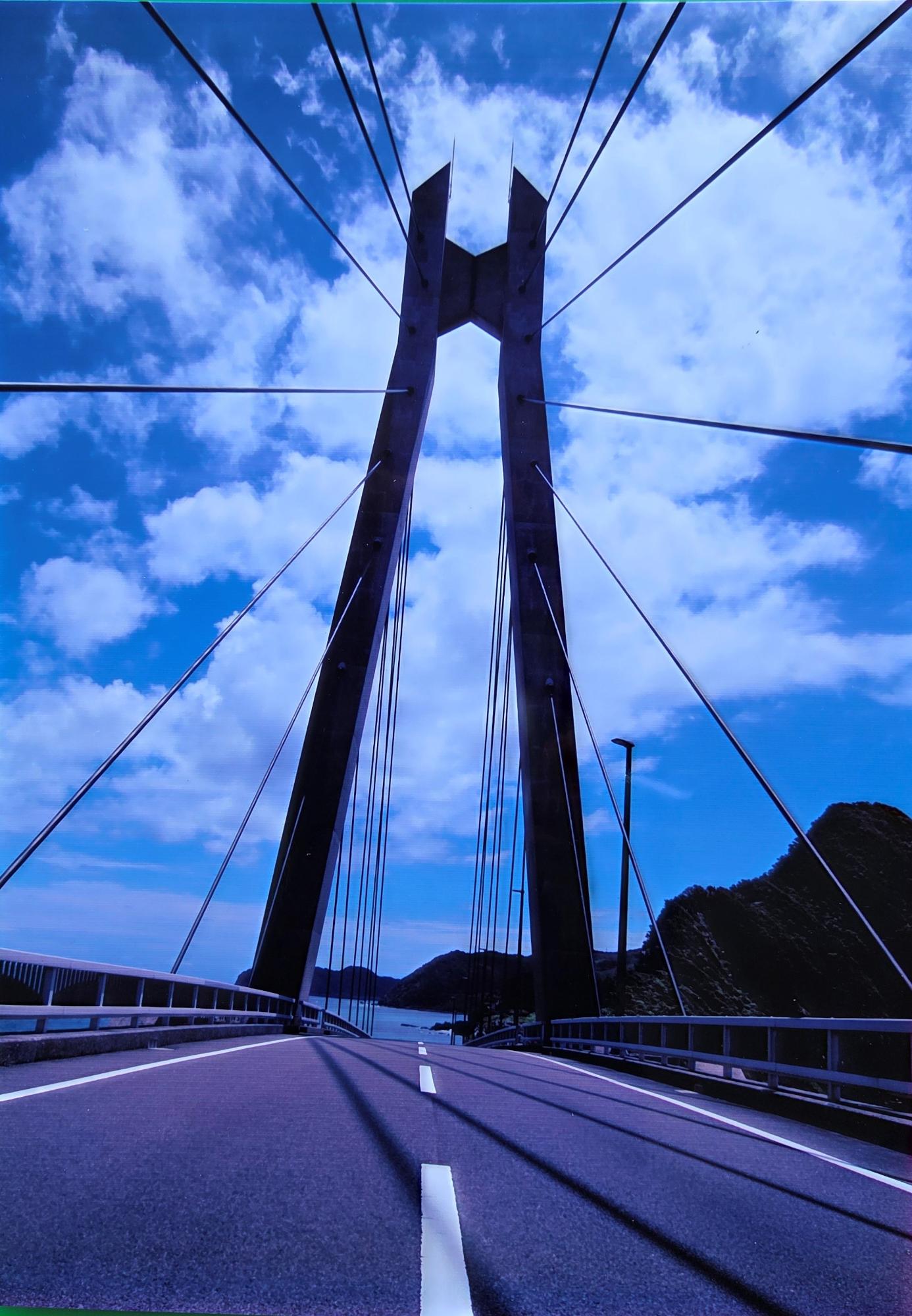 写真部門優秀賞「天を衝く」