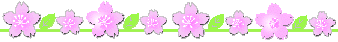 花びらが並んだイラスト