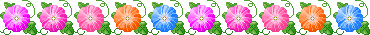 アサガオのイラスト