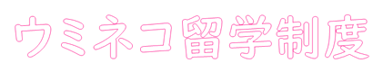 ウミネコ留学制度