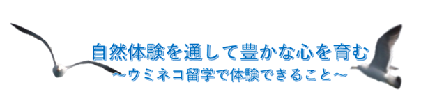 「自然体験を通して豊かな心を育む~ウミネコ留学で体験できること~」と書かれた文字の両隣で飛んでいるウミネコ2匹のイラスト