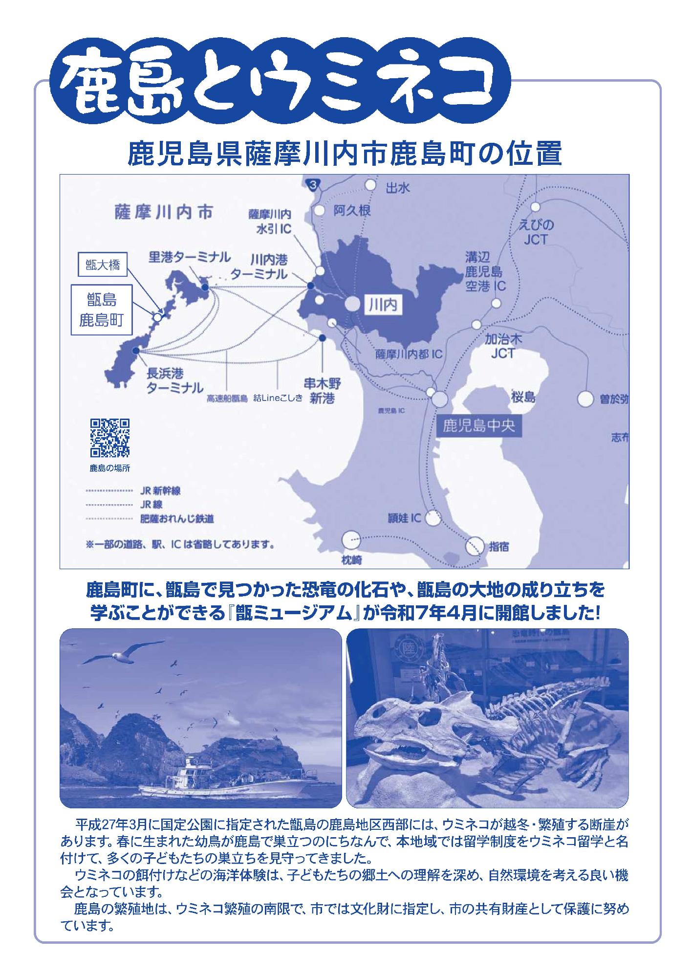 第31期ウミネコ留学生募集チラシ-2