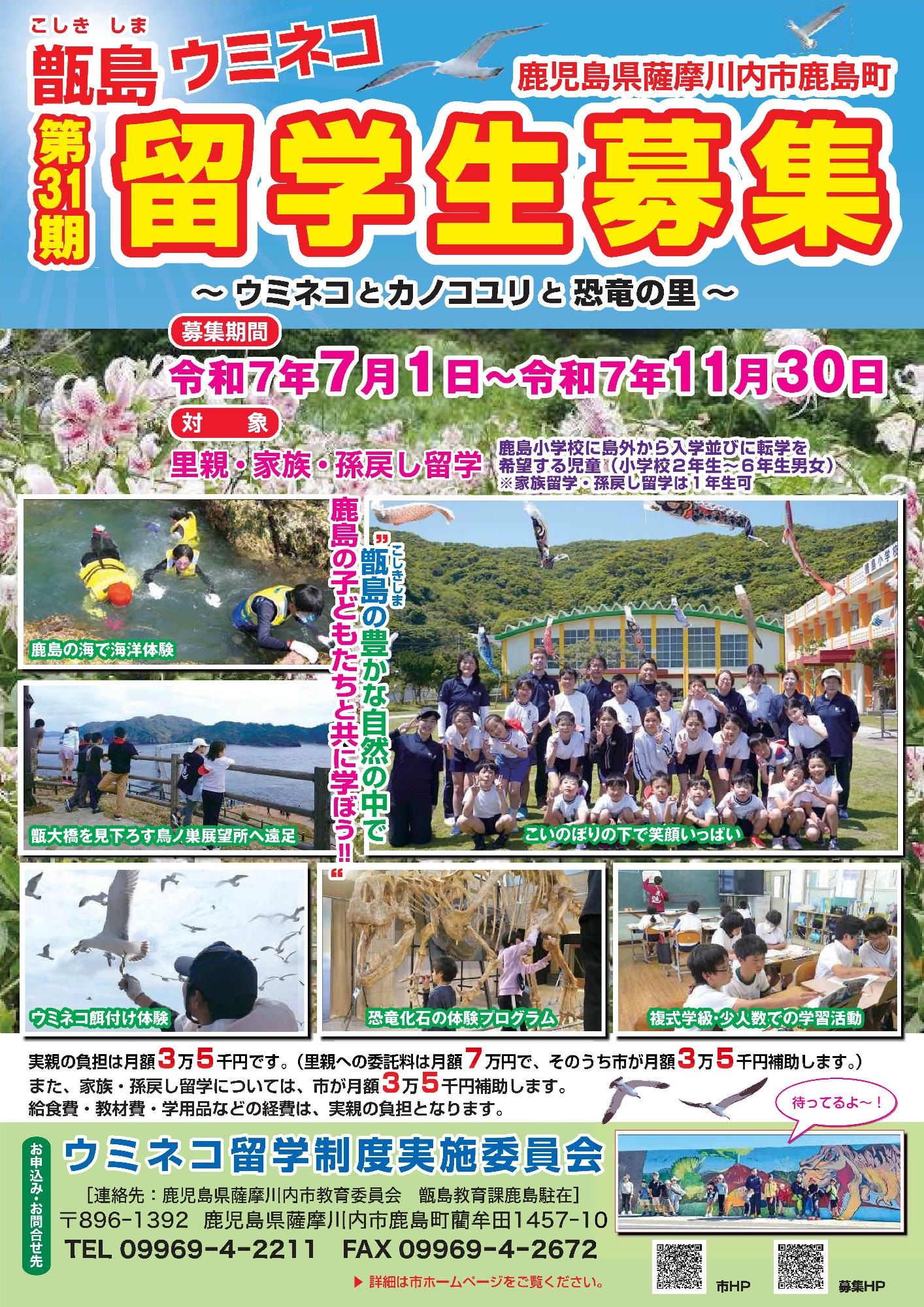 第31期ウミネコ留学生募集チラシ