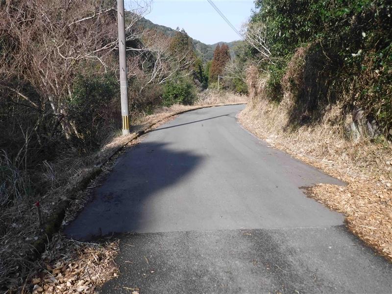 林道湯屋線の写真