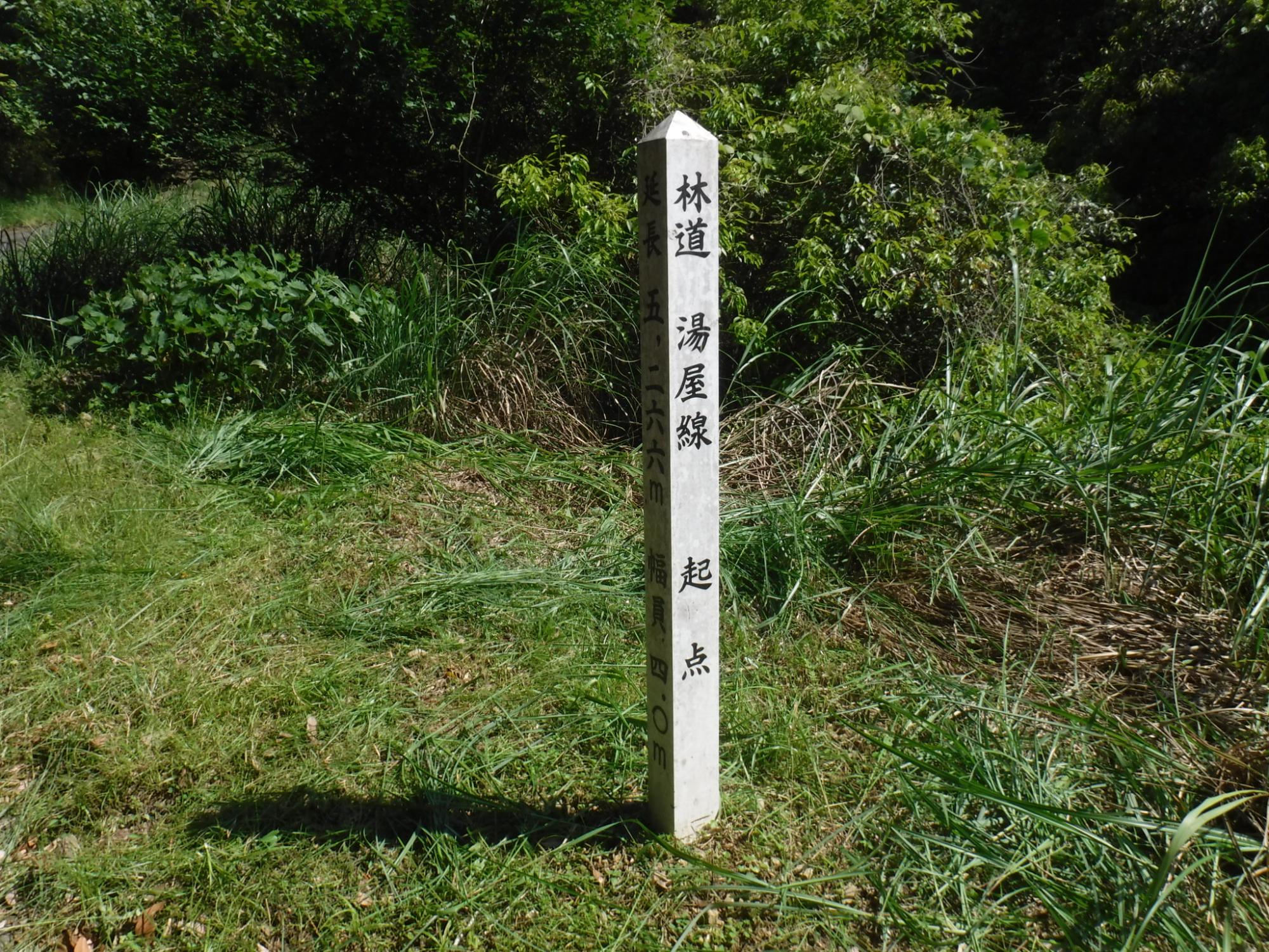 林道湯屋線の起点