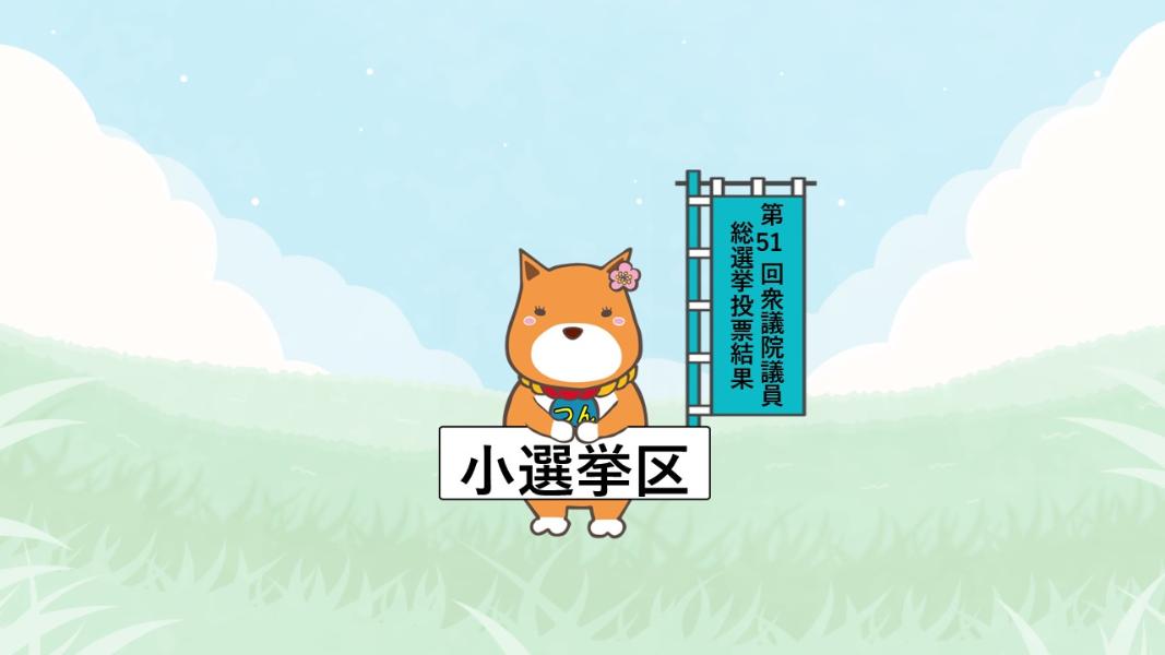 令和8年2月8日第51回衆議院議員総選挙小選挙区（投票結果）
