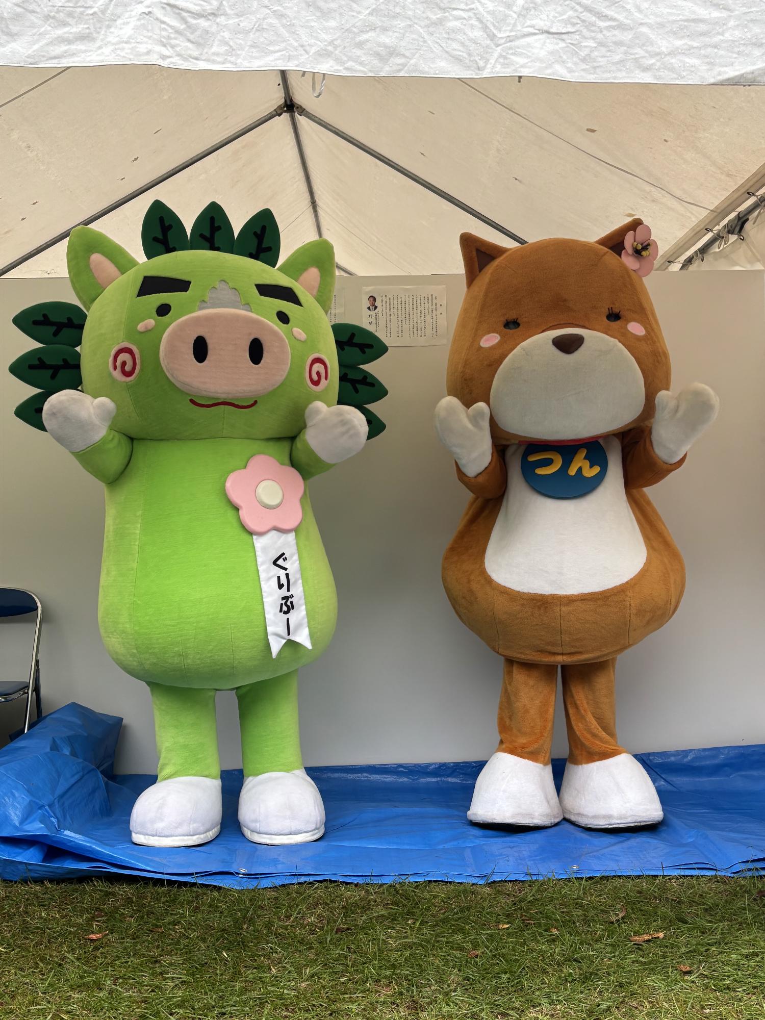 ぐりぶーとつん