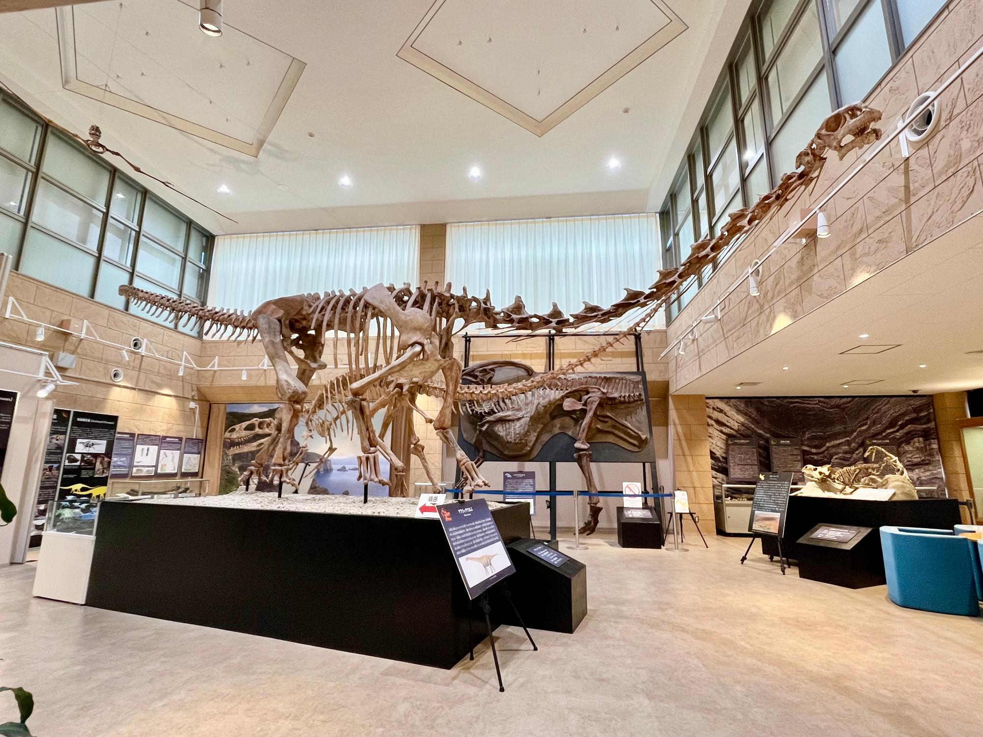 甑ミュージアム展示ホールの様子