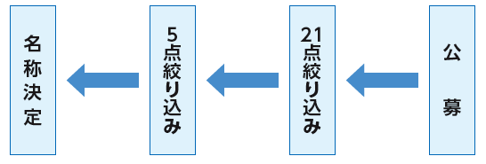名称決定の経緯