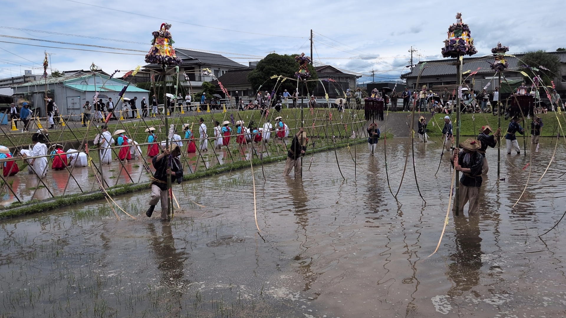 御田植祭の様子