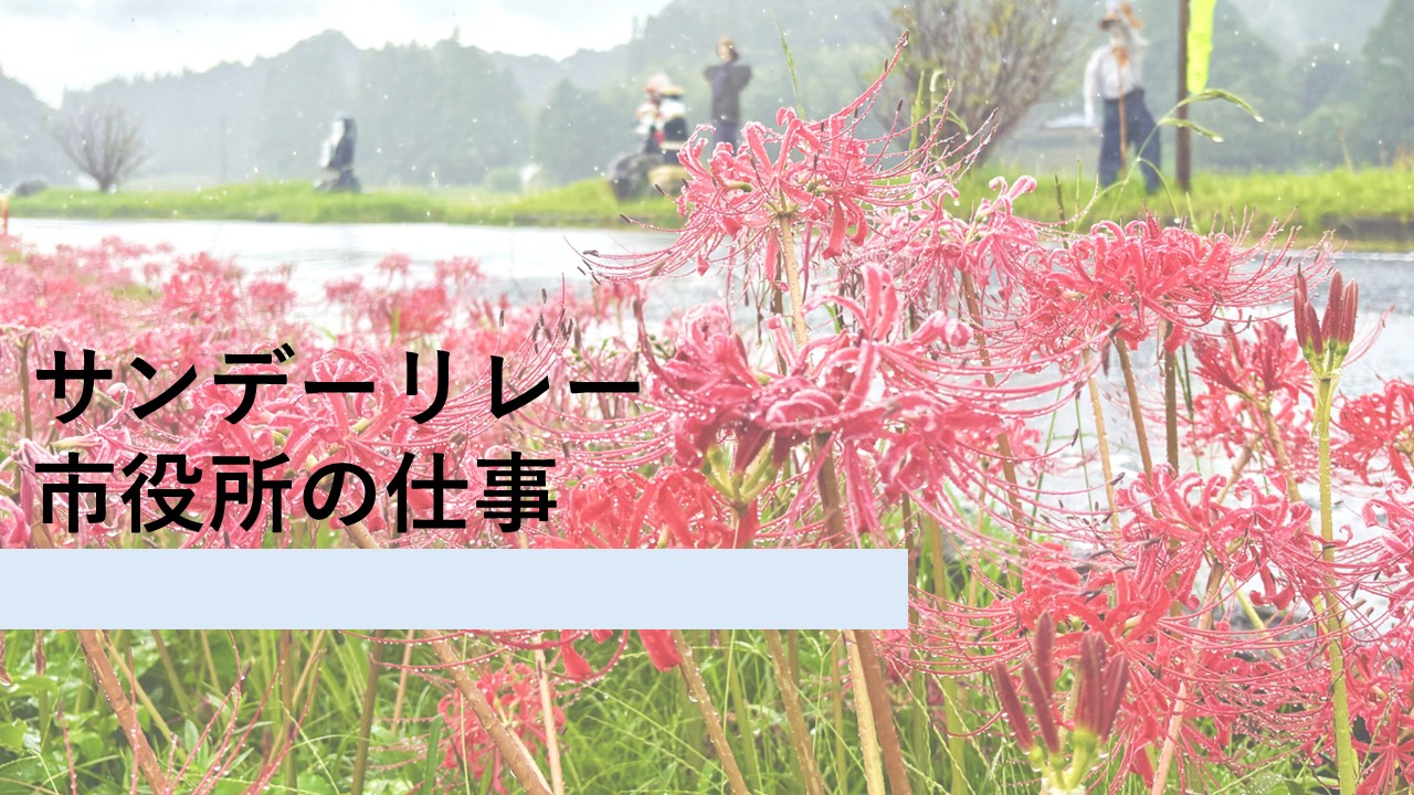 彼岸花